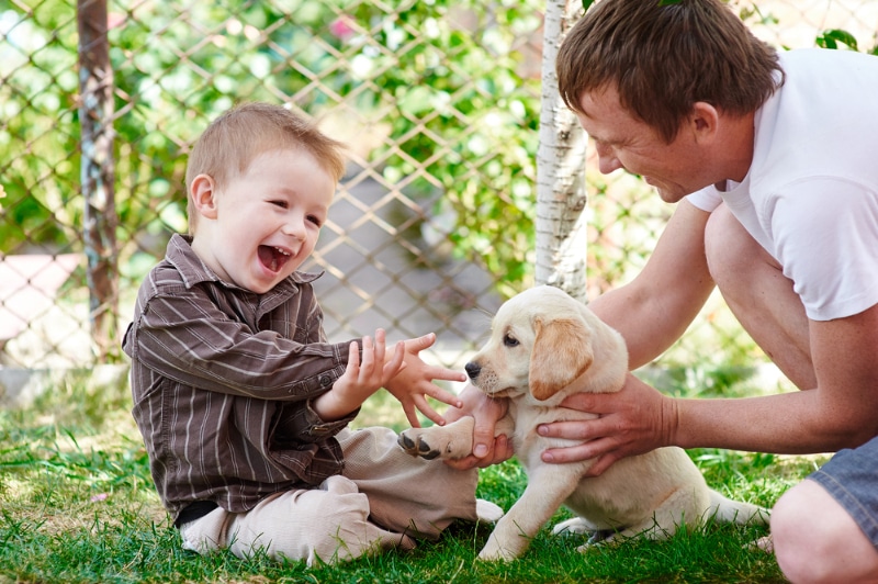 Cute Puppy 1