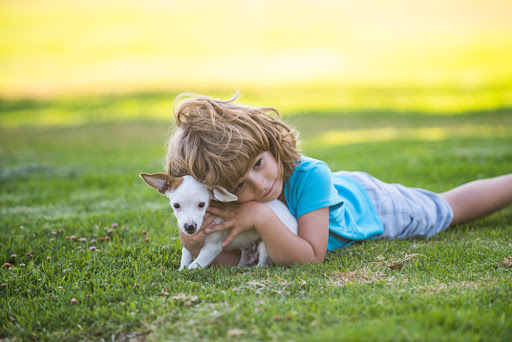 Cute Puppy 2